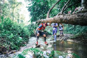 BIB: 
                            <button type="button" onclick="openModal(25436610)" class="btn btn-primary btn-sm float-right btn-popup" data-toggle="modal" data-target=".modal-high-quality">
                        <i class="fas fa-shopping-cart"></i> Add to Cart
                    </button>
                                            <button type="button" onclick="isThisMe(25436610, true)" class="btn btn-success btn-sm float-right btn-popup btn-isme hidden" data-toggle="tooltip" data-placement="bottom" title="นี่คือรูปของคุณใช่ไหม คลิกที่นี่เพื่อเอาเข้าอัลบั้ม">
                        <i class="fas fa-plus"></i> Add to album
                    </button>
                    <button type="button" onclick="isThisMe(25436610, false)" class="btn btn-warning btn-sm float-right btn-popup btn-isnotme hidden">
                        <i class="fas fa-ban"></i> Remove from album
                    </button>